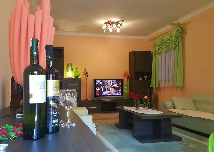 Apartment Andric 2